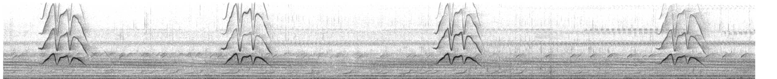 Dendrocigna facciabianca - ML651106513