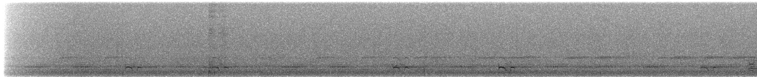 Белолобый гусь - ML651107996