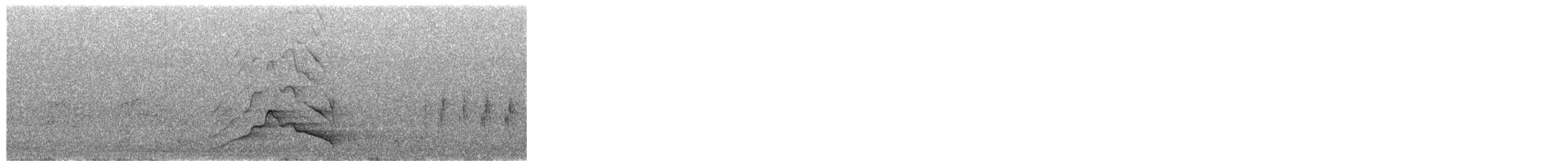 Carnaby's Black-Cockatoo - ML651112516