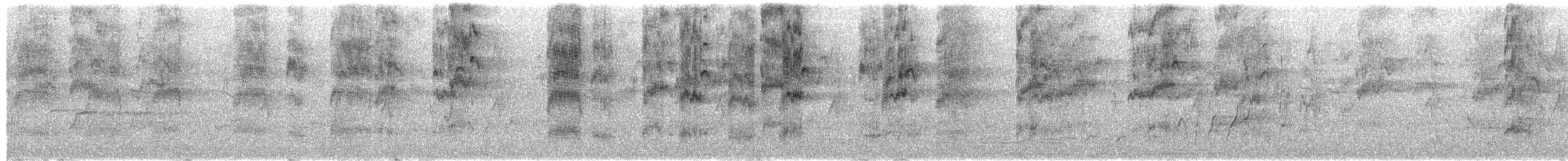 Purple-crowned Lorikeet - ML651112832