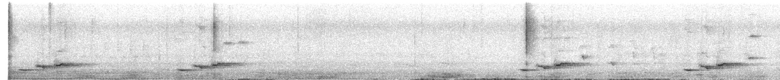 Greater Racket-tailed Drongo - ML651117554