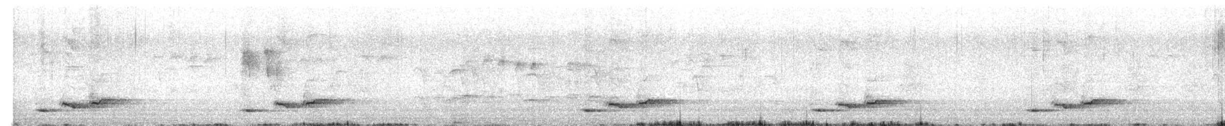 Greater Racket-tailed Drongo - ML651117686