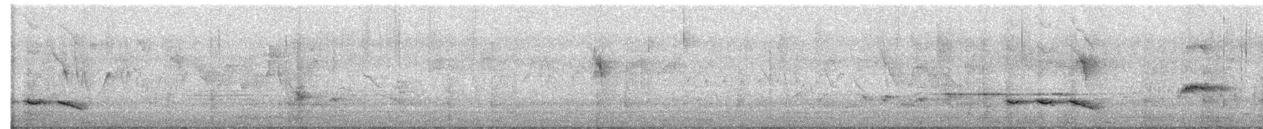 Common Iora - ML651118229