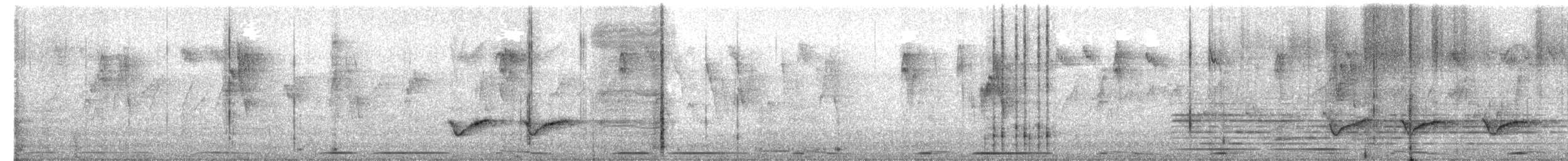 Common Iora - ML651118351