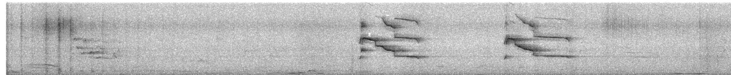 Indian Gray Hornbill - ML651119697