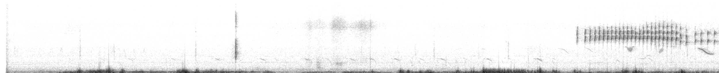 Pallas's Grasshopper Warbler - ML651121214