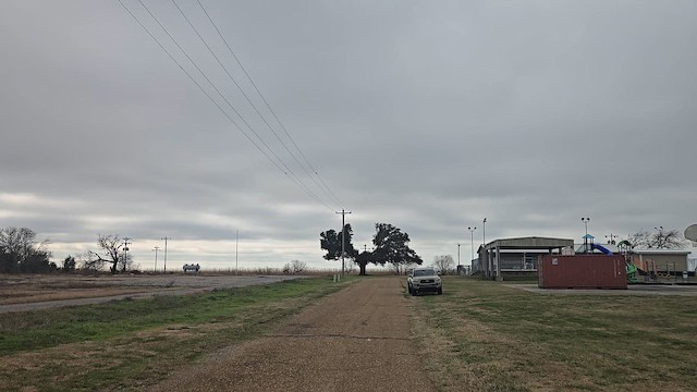 Western Meadowlark - ML651122248