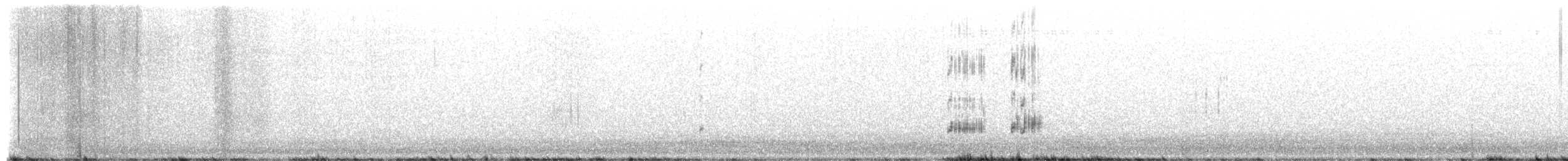 Grèbe élégant - ML651125155