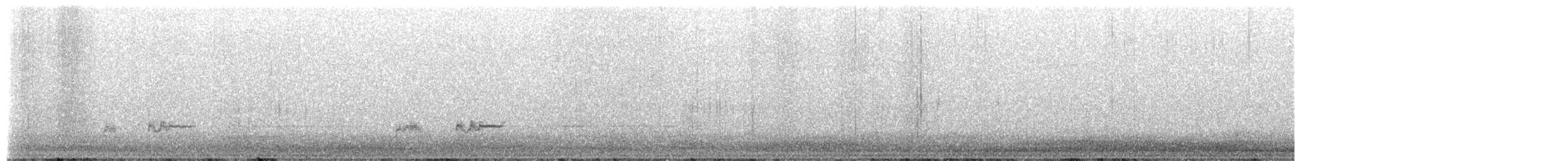 Grèbe élégant - ML651125156