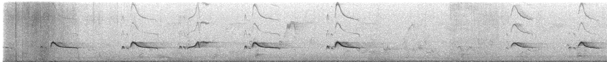 Moucherolle à ventre roux - ML651125234