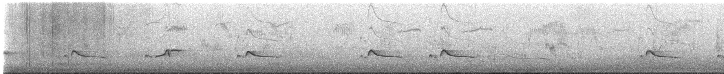 Moucherolle à ventre roux - ML651125235