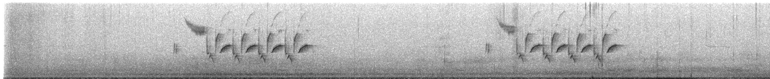 Troglodyte de Bewick - ML651125256