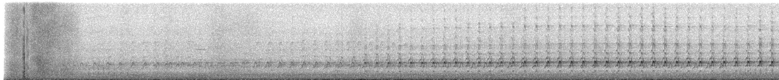 datel zlatý - ML651126872