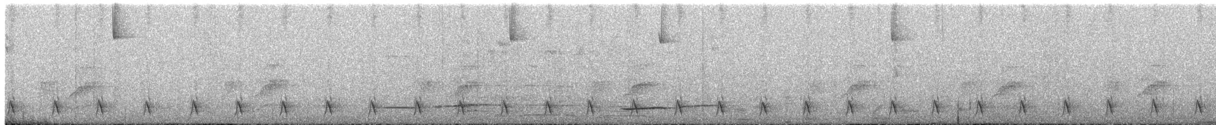 Тапакуло чорний - ML651129550