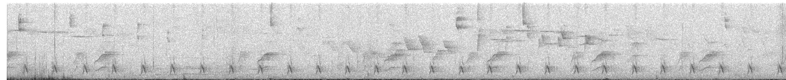 Тапакуло чорний - ML651129551