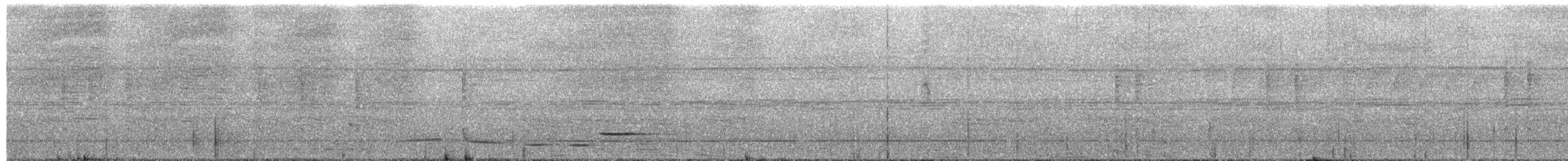 Поплітник антіоквіанський - ML651129975