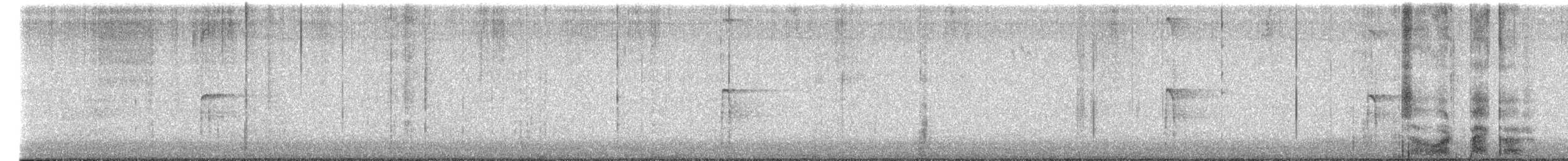 Hairy Woodpecker - ML651135308