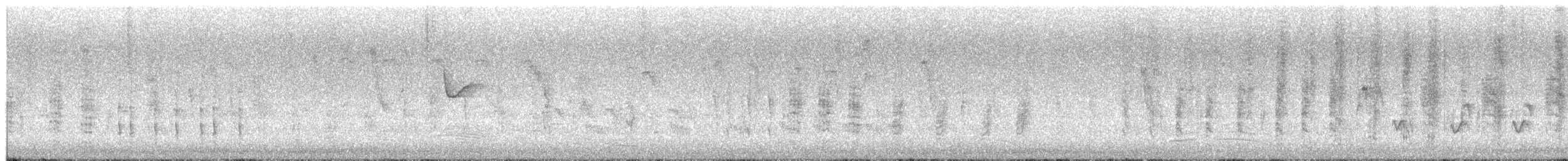 Malachite Sunbird - ML651138531