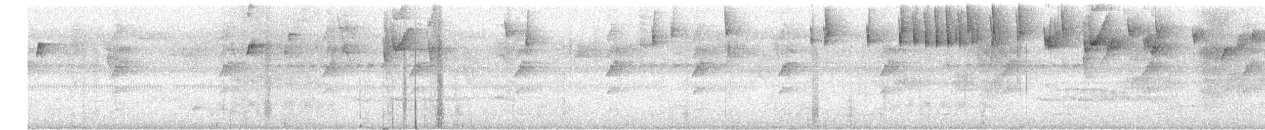 Сорокуш смугасточеревий - ML651139753