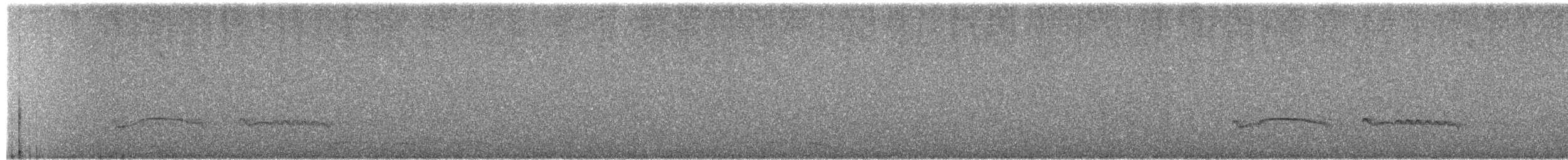 Montane Nightjar (Rwenzori) - ML651143669