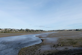 Hayle Estuary RSPB Reserve--Lelant Water, Cornwall, England, United ...