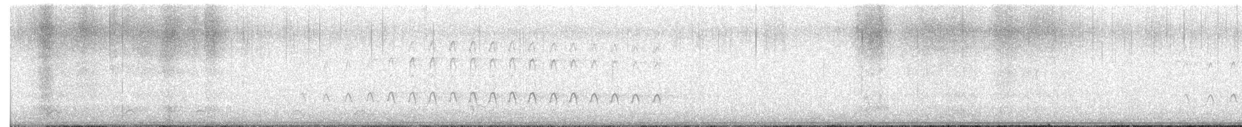 ハシボソキツツキ - ML651145655