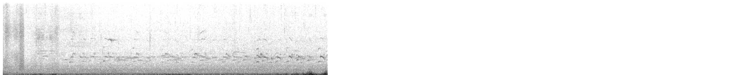 American Avocet - ML651145740