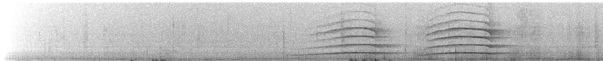 Petite Nyctale - ML651149391