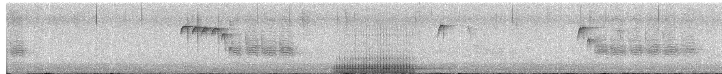 Hairy Woodpecker - ML651153330