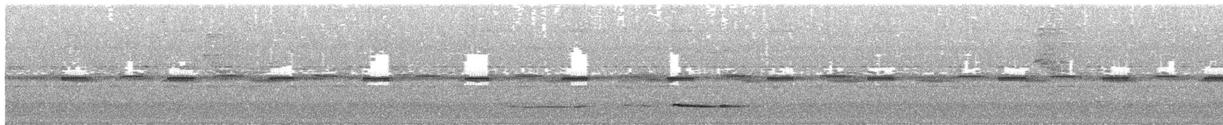 Sangihe Scops-Owl - ML651155046