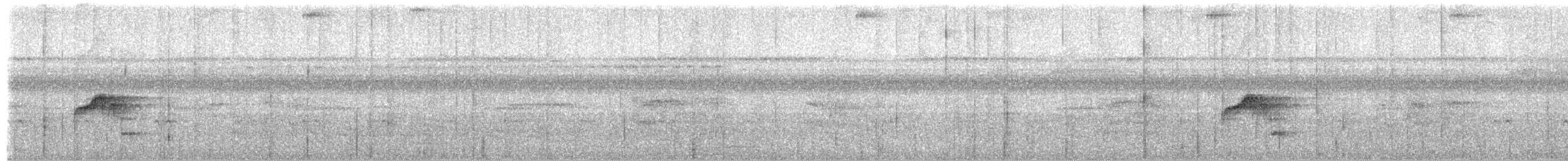 Black-billed Flycatcher - ML651155610