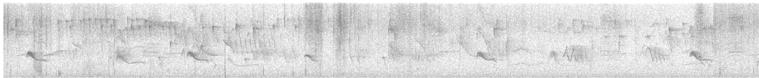 Euler's Flycatcher - ML651155713