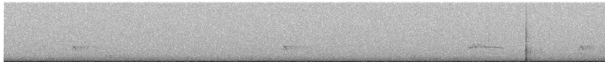 Water Rail - ML651155721