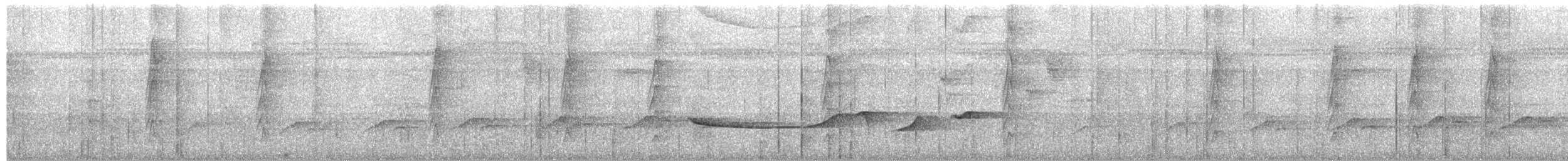 Russet-winged Schiffornis - ML651155781