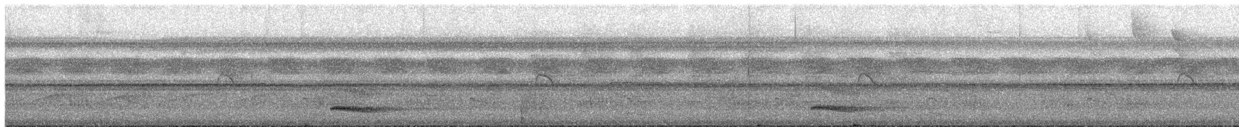 Channel-billed Toucan - ML651155905