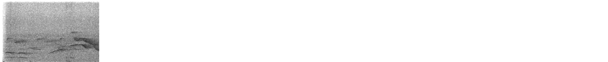 Koepcke's Screech-Owl - ML651156047