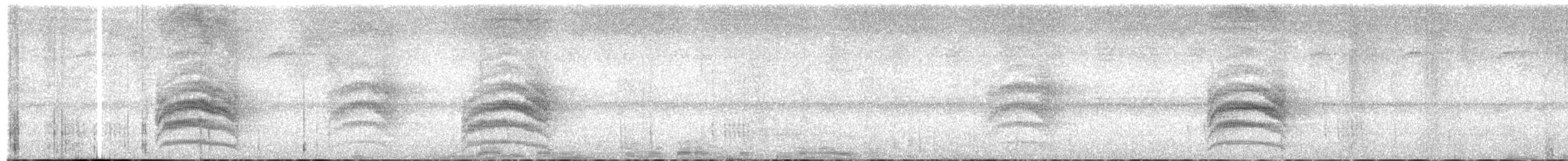 Покривник каштановий - ML651159294