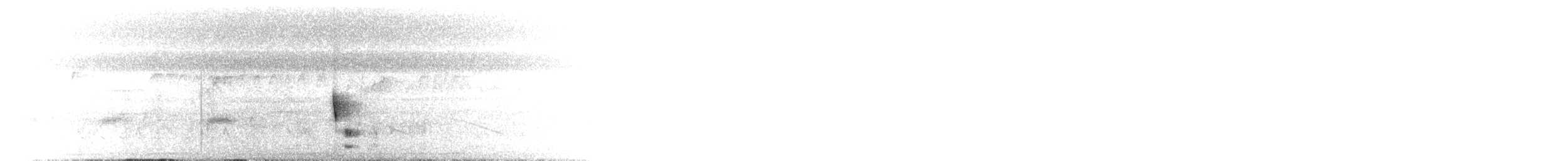 Dwarf Cuckoo - ML651165506