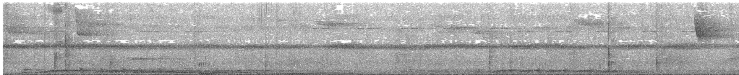 Пінон малазійський - ML651166329