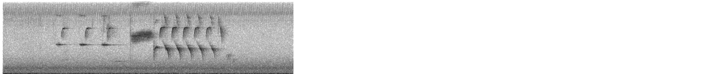 Troglodyte de Bewick - ML651166863