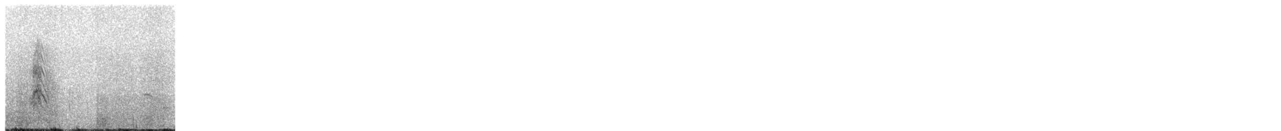 Black Tern - ML651168197