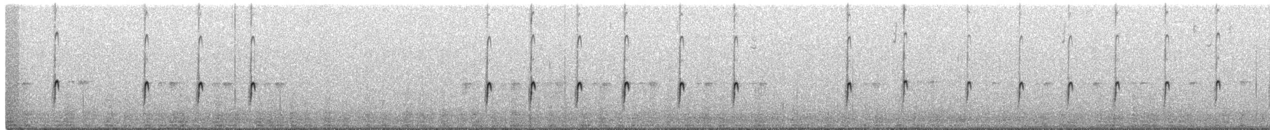 Spotted Sandpiper - ML651168629