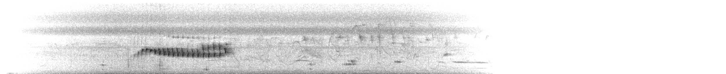 Pied Water-Tyrant - ML651168795