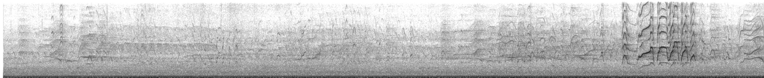 Красноклювая древесная утка - ML651170665