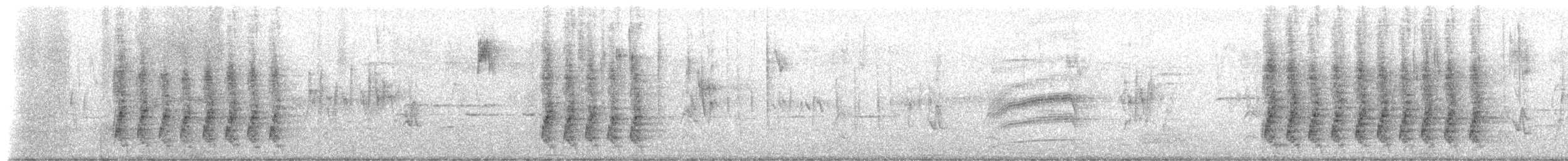 Geai de Steller - ML651176423