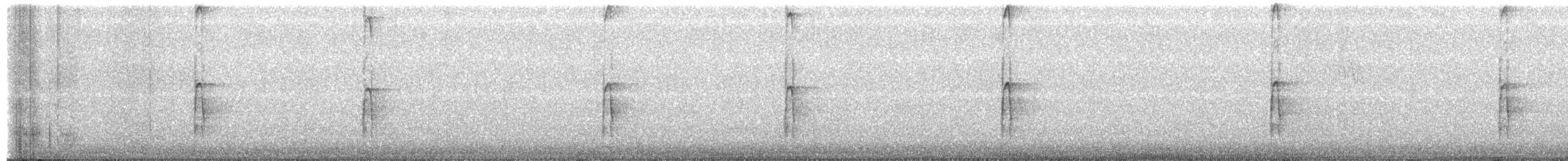 Hairy Woodpecker (Eastern) - ML651177014