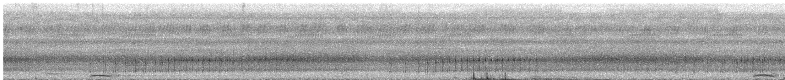 Nankeen Night Heron - ML651178207