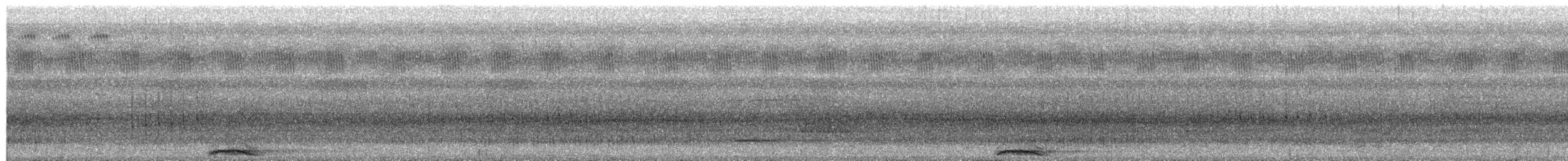 Nankeen Night Heron - ML651178208