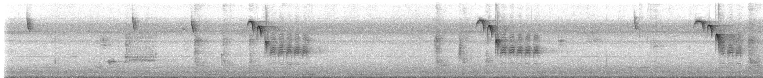 Каролинский дятел - ML651178819