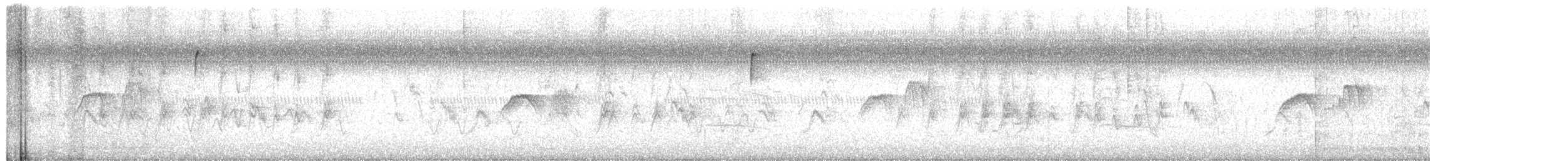 House Finch - ML651180435